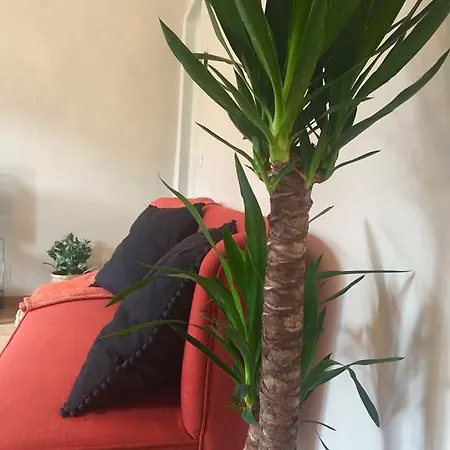 Casa Santa Maria 피렌체